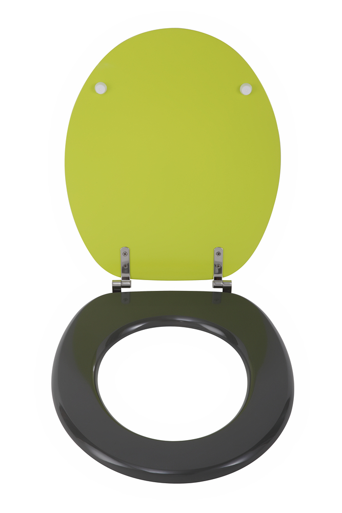 Abattant de WC Vert/Gris 904277 Salle de bains et WC L