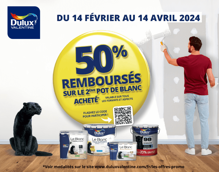 offre remboursement akzo nobel dulux