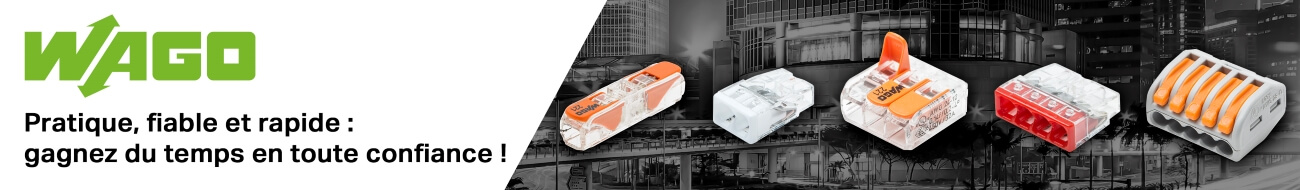 Présentation de la marque WAGO
