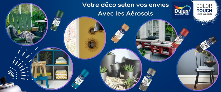 AKZO NOBEL DULUX VALENTINE Bombe de peinture couleur