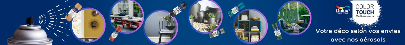 AKZO NOBEL DULUX VALENTINE Bombe de peinture couleur