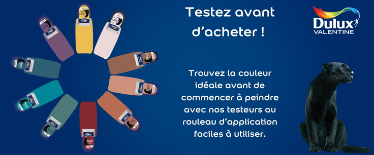 AKZO NOBEL DULUX VALENTINE Testeur