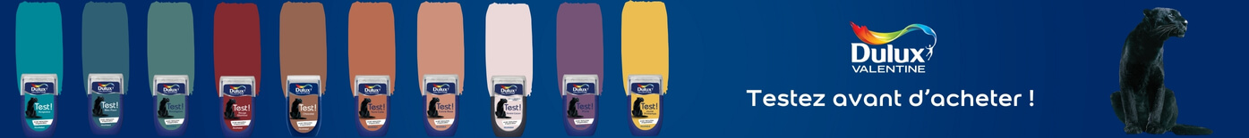 AKZO NOBEL DULUX VALENTINE Testeur