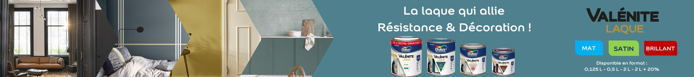 AKZO NOBEL DULUX VALENTINE VALENITE Laque