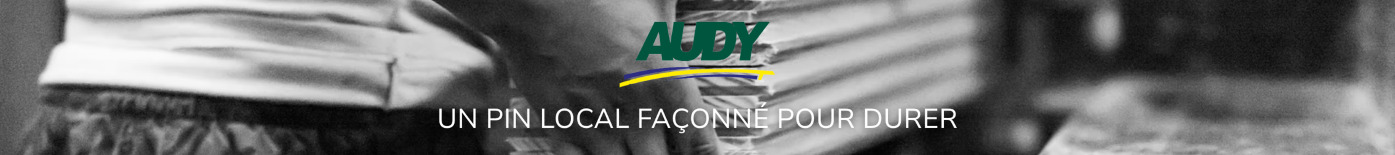 AUDY Lambris en bois