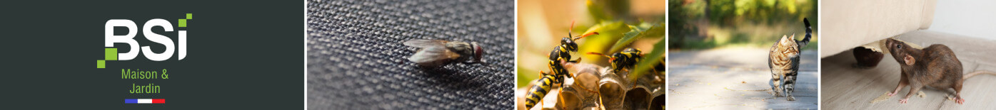 Répulsif pour tous insectes marque BSI