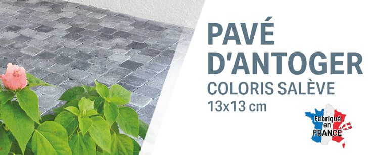 Pavé Antoger Salève 13 x 13 x 5 cm GGI