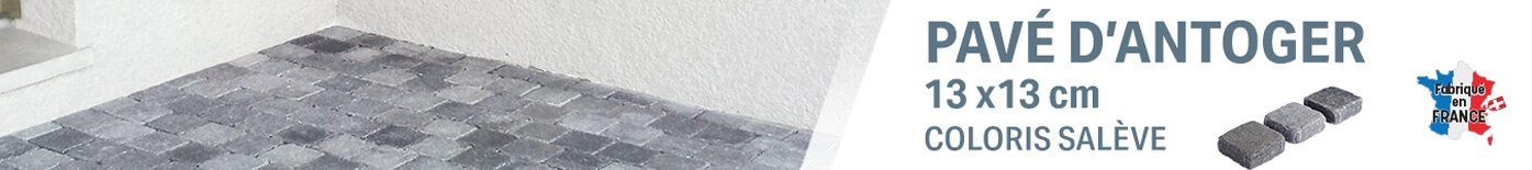 Pavé Antoger Salève 13 x 13 x 5 cm GGI