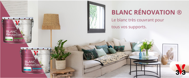 Peinture support spécifique et multi matériaux (rénovation) marque V33