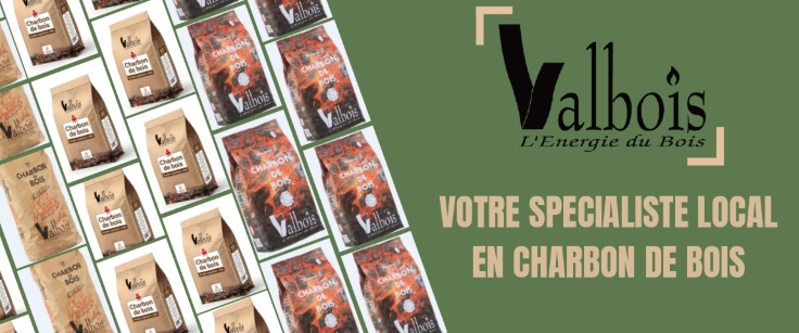 charbon de bois pour allumer les barbecues