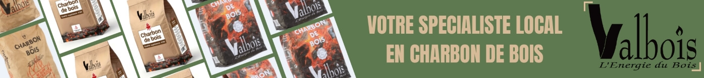 charbon de bois pour allumer les barbecues