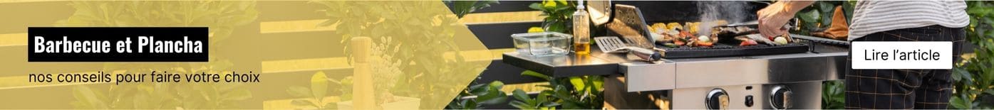LES 3 MEILLEURES FAÇON DE CHOISIR SON BARBECUE OU SA PLANCHA