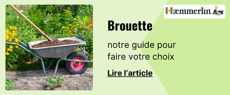 Article blog : L'indispensable brouette et ses usages