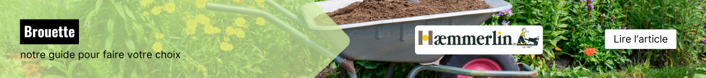 Article blog : L'indispensable brouette et ses usages