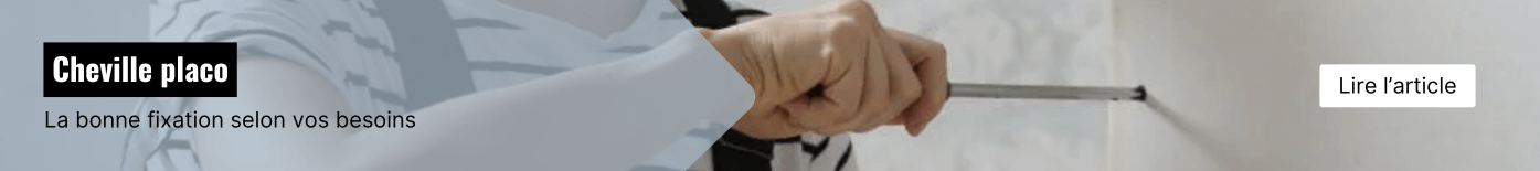 Article Quelle est la meilleure cheville pour le placo ?