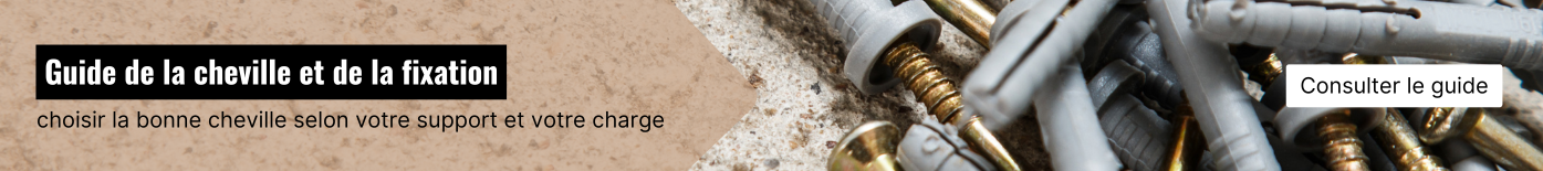 Guide de la cheville et de la fixation