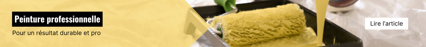 Article Pourquoi choisir une peinture professionnelle ?
