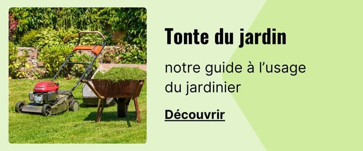 Petit guide à l'usage du jardinier - Tondre sa pelouse - Tonte du jardin