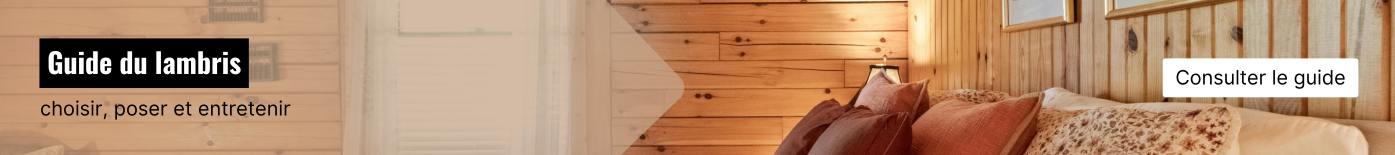 Article Pourquoi choisir du lambris ?