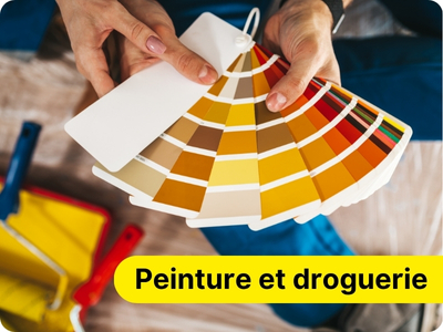 offre bons plans peinture