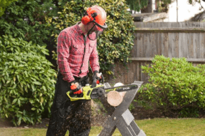 Tronçonneuse RYOBI ONE+