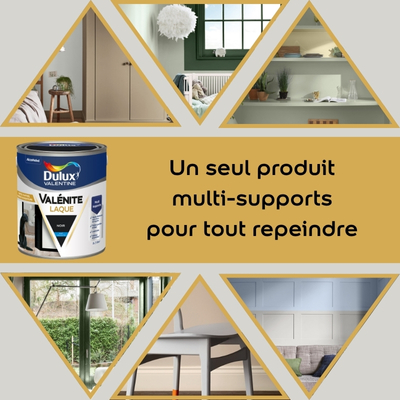 Gamme de peintures Dulux Valentine : Valenite