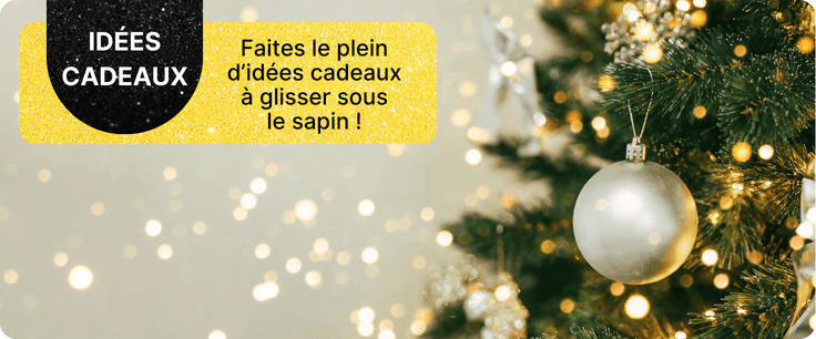 d&eacute;couvrez nos id&eacute;es cadeaux de No&euml;l 2025
