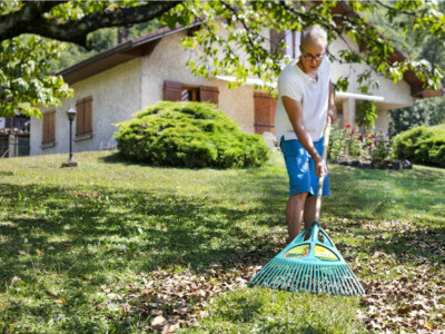Outil pour l'entretien du gazon