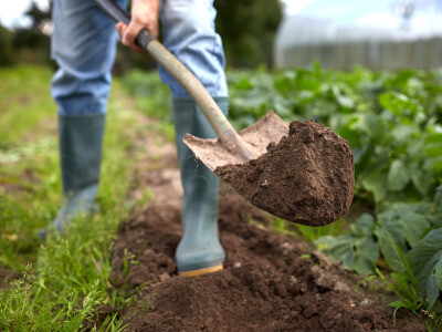 Pelles, pioches et rateaux