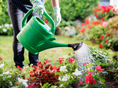 arrosage, pompe et récupérateur d'eau de pluie pour le jardin