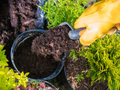 Gazon, terreaux, engrais et composteurs