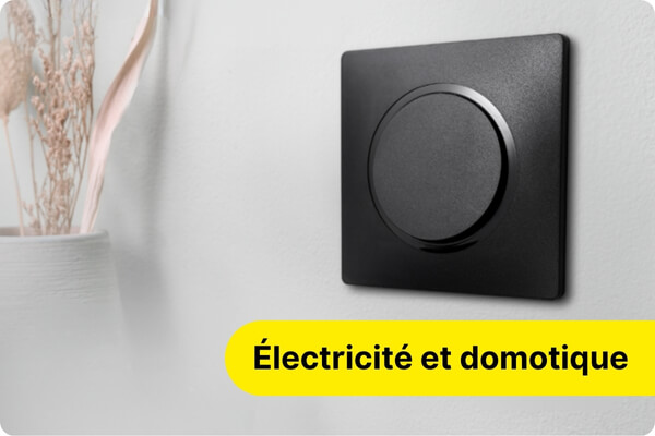 Electricit&eacute; et domotique
