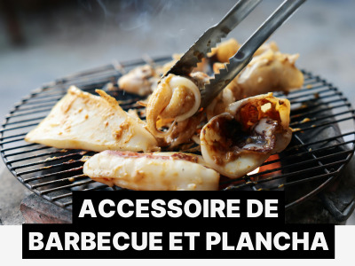 Accessoires de barbecue et plancha