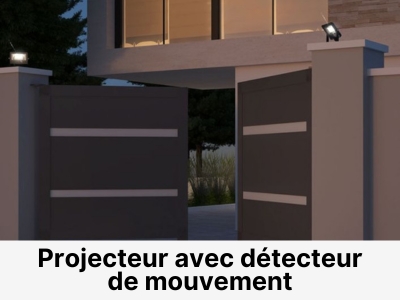Projecteur à fixer et détecteur