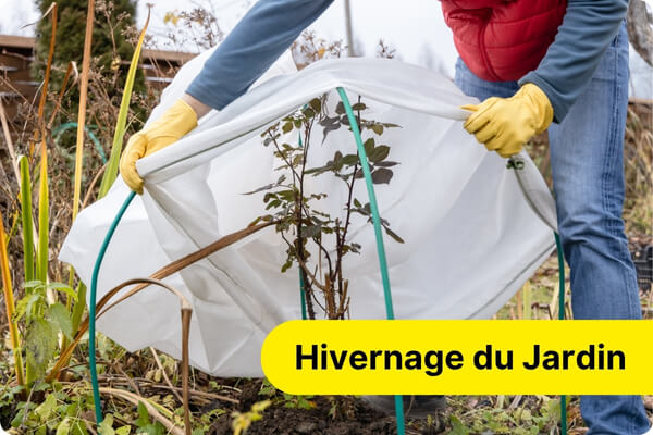 Hivernage du jardin