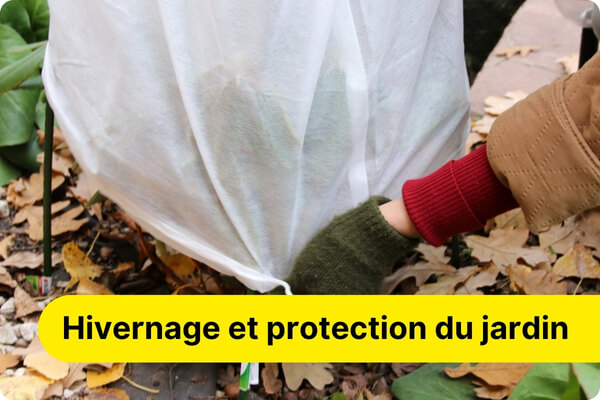 hivernage du jardin