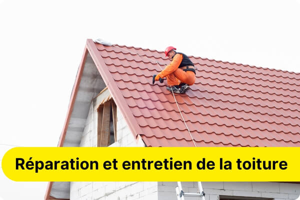 R&eacute;paration - entretien de la toiture et des goutti&egrave;res