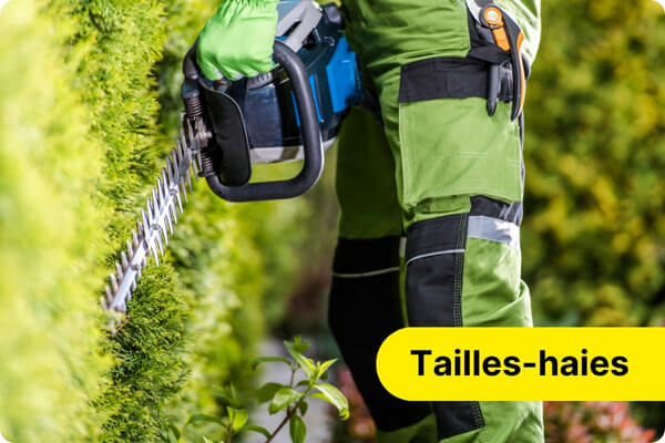 tailles-haies sur batterie ou &eacute;lectrique