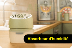 Absorbeur d'humidité et déshumidificateur