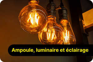 Voir nos produits Ampoules, luminaires et &eacute;clairage