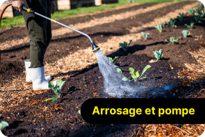 Arrosage - pompe et r&eacute;cup&eacute;rateur d'eau