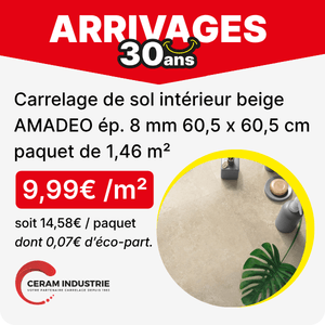 Voir le Carrelage de sol int&eacute;rieur beige AMADEO &eacute;p 8 mm 60,5 x 60,5 cm paquet de 1,46 m&sup2; de la marque CERAM INDUSTRIE au prix arrivage de 9.99&euro; / m&sup2;
