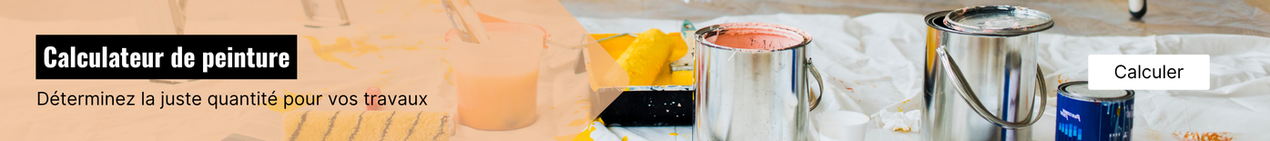 Calculateur peinture