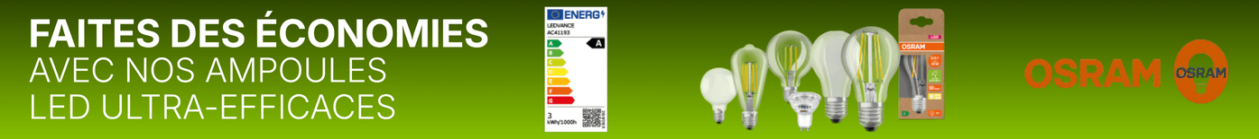 Ampoules LED &agrave; &eacute;conomie d'&eacute;nergie marque OSRAM