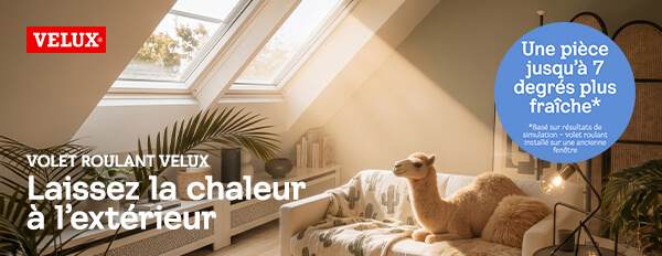 vue du ciel au travers d'une fenêtre de toit velux blanche
