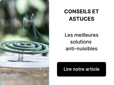 Quelles sont les meilleures solutions anti-nuisibles ?