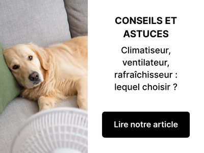 Climatiseur, ventilateur, rafraîchisseur : quel est le meilleur appareil pour rafraîchir une pièce ?