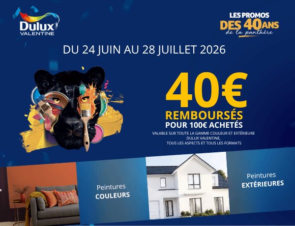 offre de remboursement dulux valentine 40&euro; pour 100&euro; d'achats
