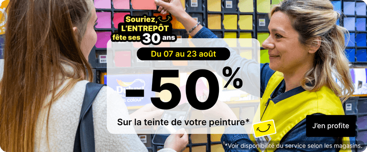 -50% sur la teinte de peinture