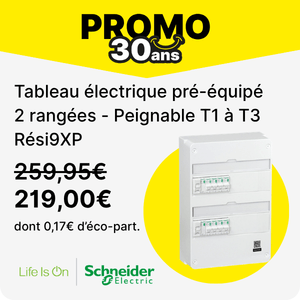 Tableau &eacute;lectrique pr&eacute;-&eacute;quip&eacute; 2 rang&eacute;es peignable T1 &agrave; T3 R&eacute;novation - Resi9 XP SCHNEIDER ELECTRIC